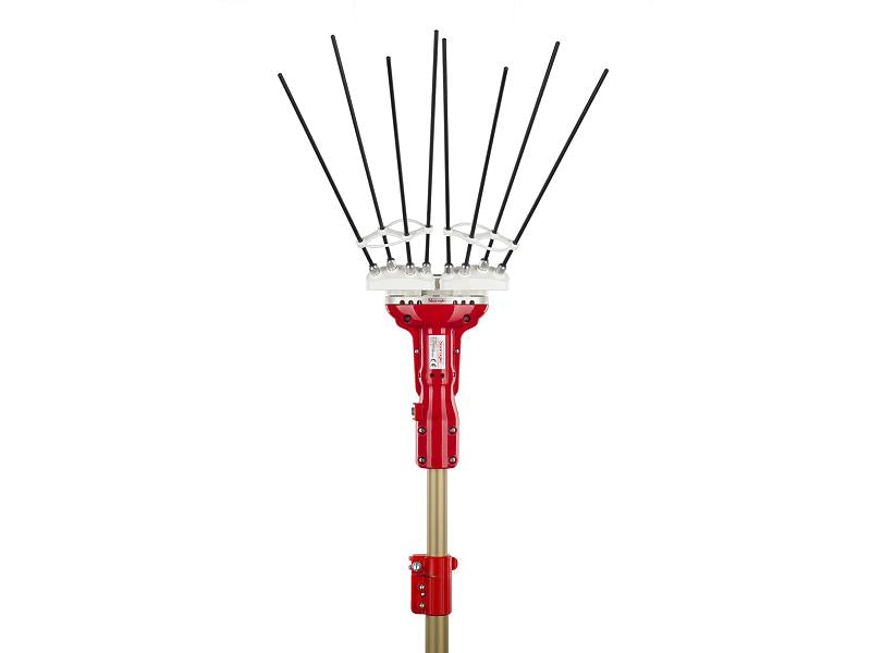 Scuotitore abbacchiatore olive elettrico a batteria Adrian 12 v cicli al minuto 1500 Sbaraglia