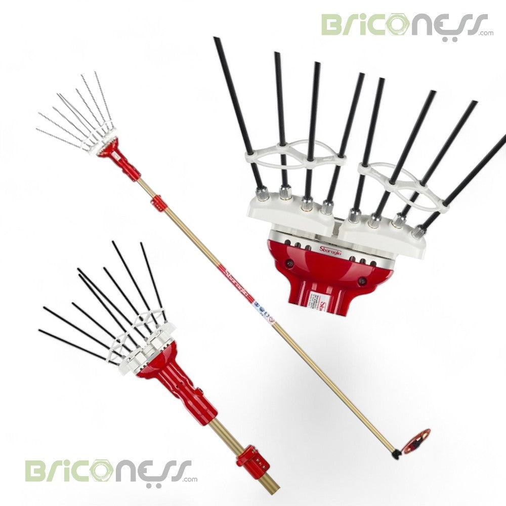 Scuotitore abbacchiatore olive elettrico a batteria Adrian 12 v cicli al minuto 1500 Sbaraglia