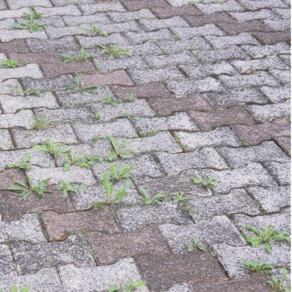Diserbante aceto corroborante concentrato per erba 1 lt