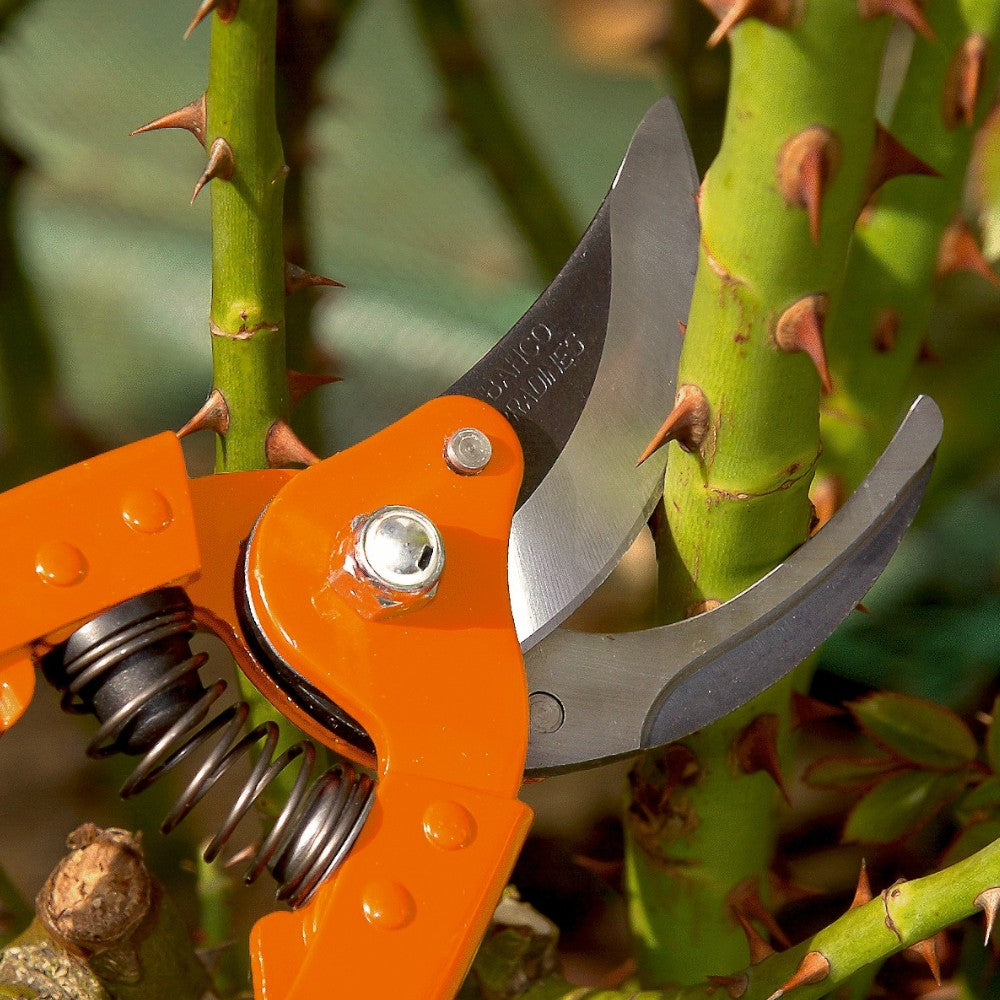 Forbice da potatura in acciaio 23 cm per lavori di giardinaggio precisione e durata comoda per mani grandi o piccole