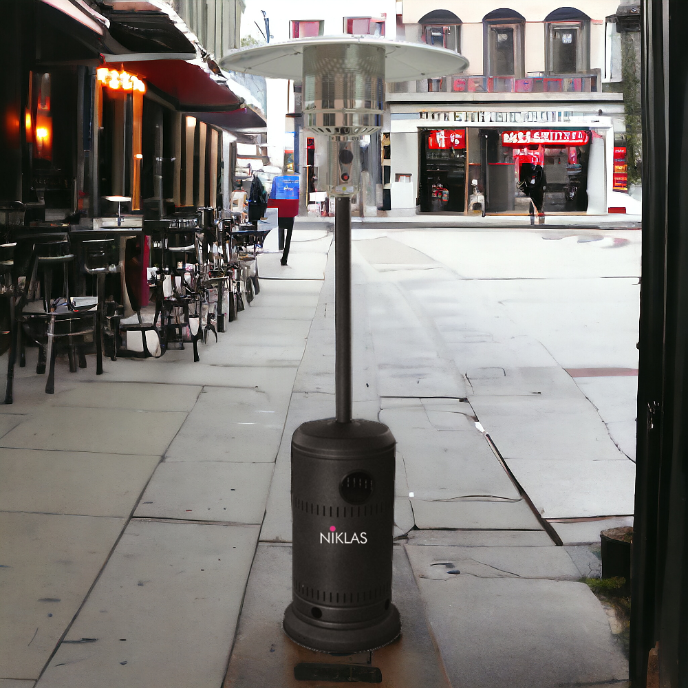 <transcy>Outdoor thermopathic gas stove black Niklas mushroom model</transcy>