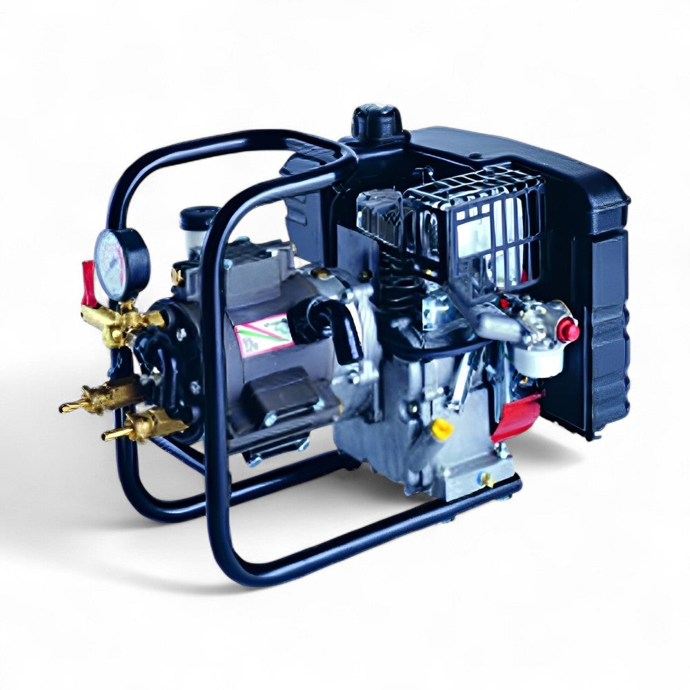 Pompa ad alta pressione con motore 4 tempi 5 HP e supporto per irrorazione Dl325